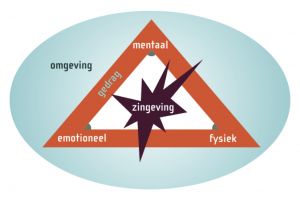 Stermodel van de zes ontwikkelingsniveaus