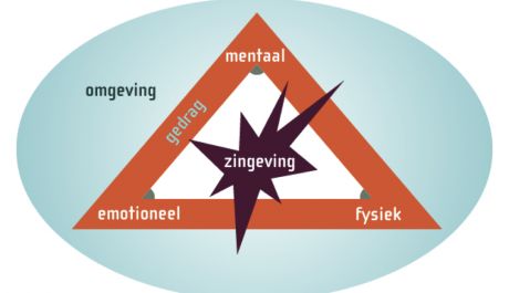 Stermodel van de zes ontwikkelingsniveaus