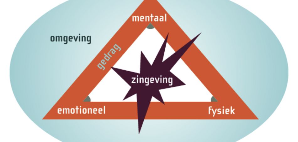 Stermodel van de zes ontwikkelingsniveaus