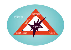 stermodel in teamcoaching