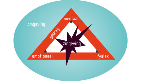 stermodel in teamcoaching