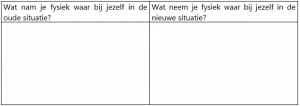 Fysieke niveau