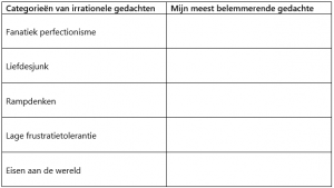 Zicht op je irrationele gedachten