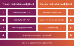 workshop coachen en trainen met het stermodel