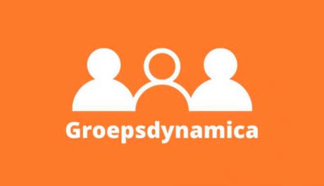 Groepsdynamica