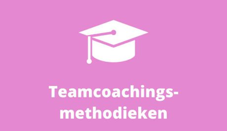 Teamcoachingsmethodieken