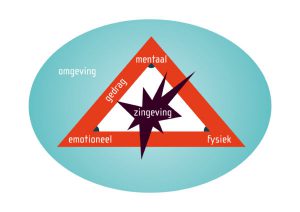 Stermodel van de Zes Ontwikkelingsniveaus