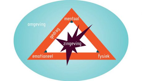 Stermodel-van-de-zes-ontwikkelingsniveaus