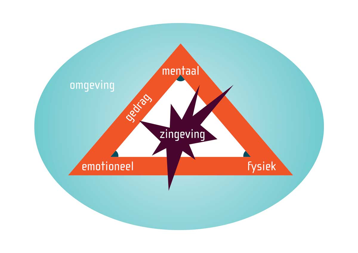 Stermodel-van-de-zes-ontwikkelingsniveaus