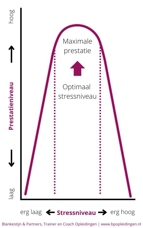 Het verband tussen stressniveau en prestatieniveau