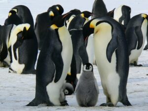 Leren systemisch te werken in loopbaancoaching?