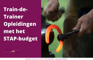 Train-de-Trainer Opleidingen met het STAP-budget